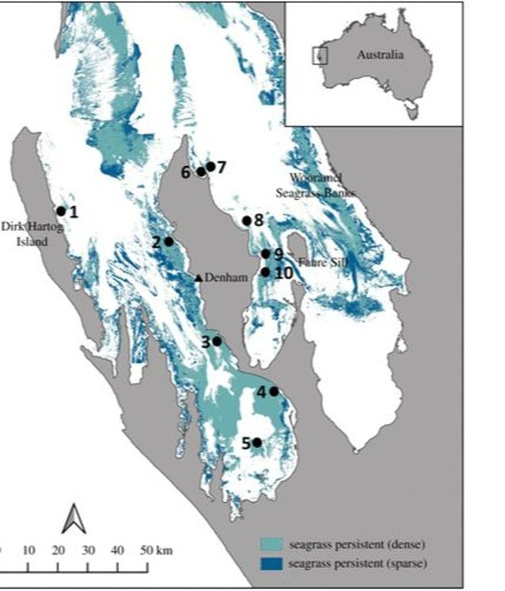 Área del Patrimonio Mundial de Shark Bay en Australia Occidental