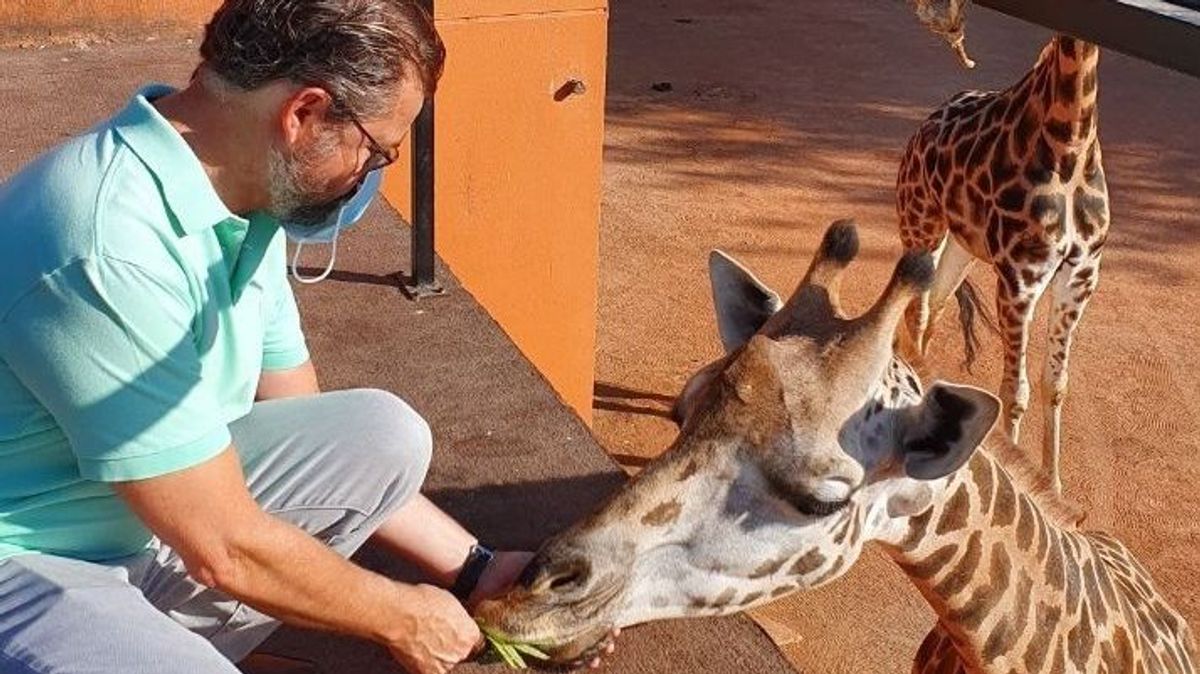 Cuidador del zoológico de Córdoba dando de comer a una Jirafa. Archivo