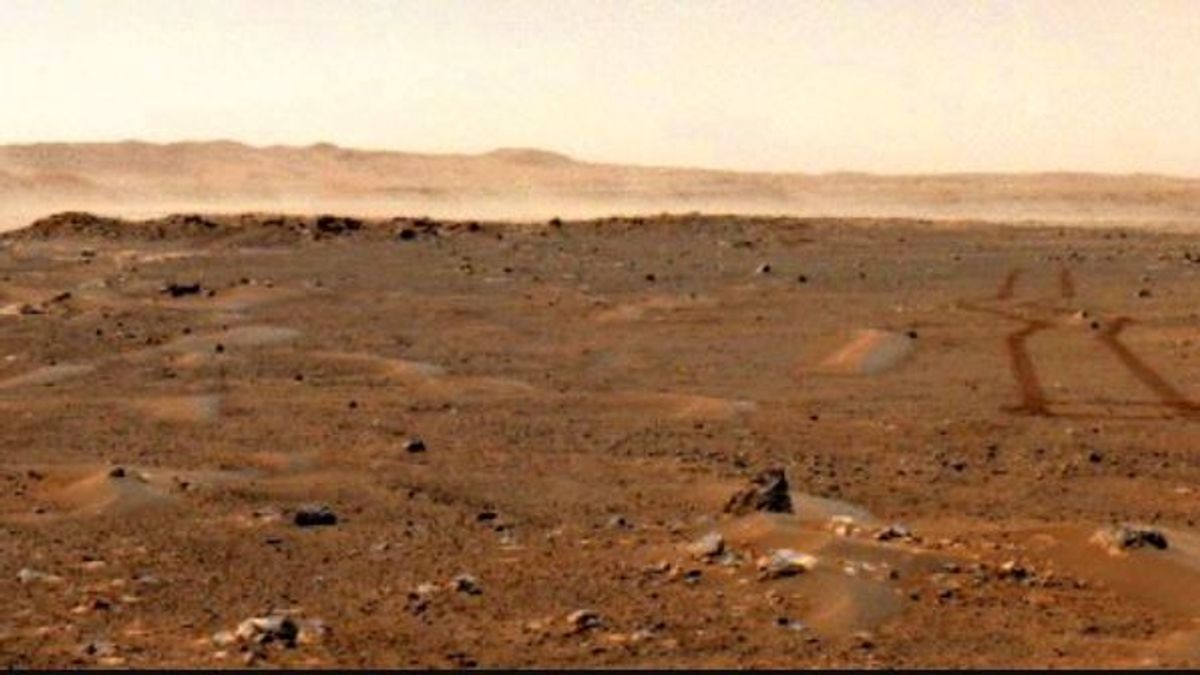 El rover Perseverance de la NASA graba vientos salvajes creando una enorme nube de polvo en Marte