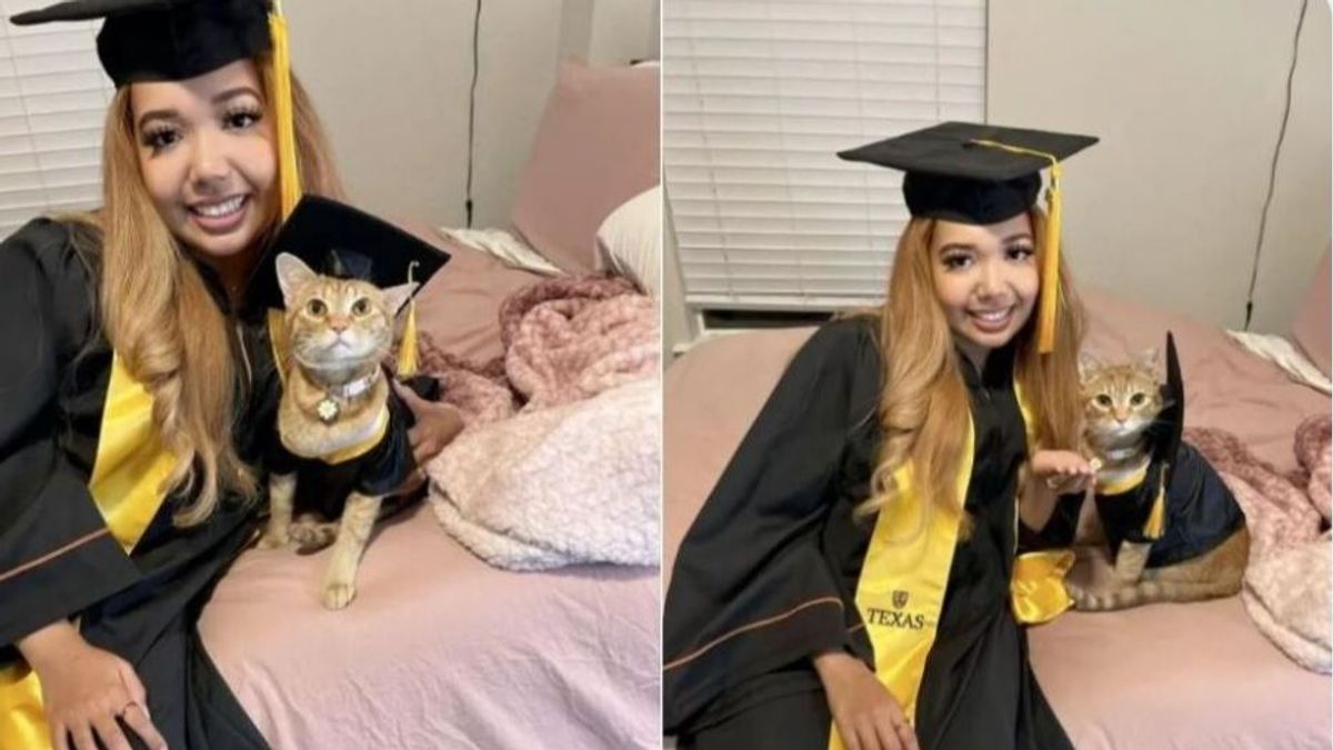 Una gata se 'gradúa' en la universidad junto a su dueña: asistió a todas las clases virtuales
