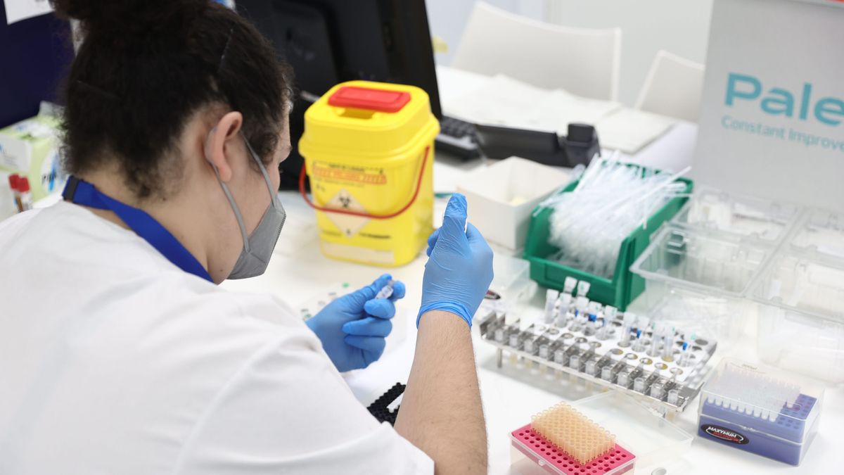 Una técnico de laboratorio trabajando Una técnico de laboratorio trabajando