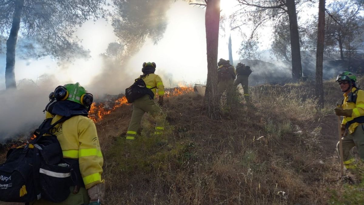 EuropaPress 4487548 efectivos plan infoca trabajan sofocar incendio san miguel granada EuropaPress 4487548 efectivos plan infoca trabajan sofocar incendio san miguel granada