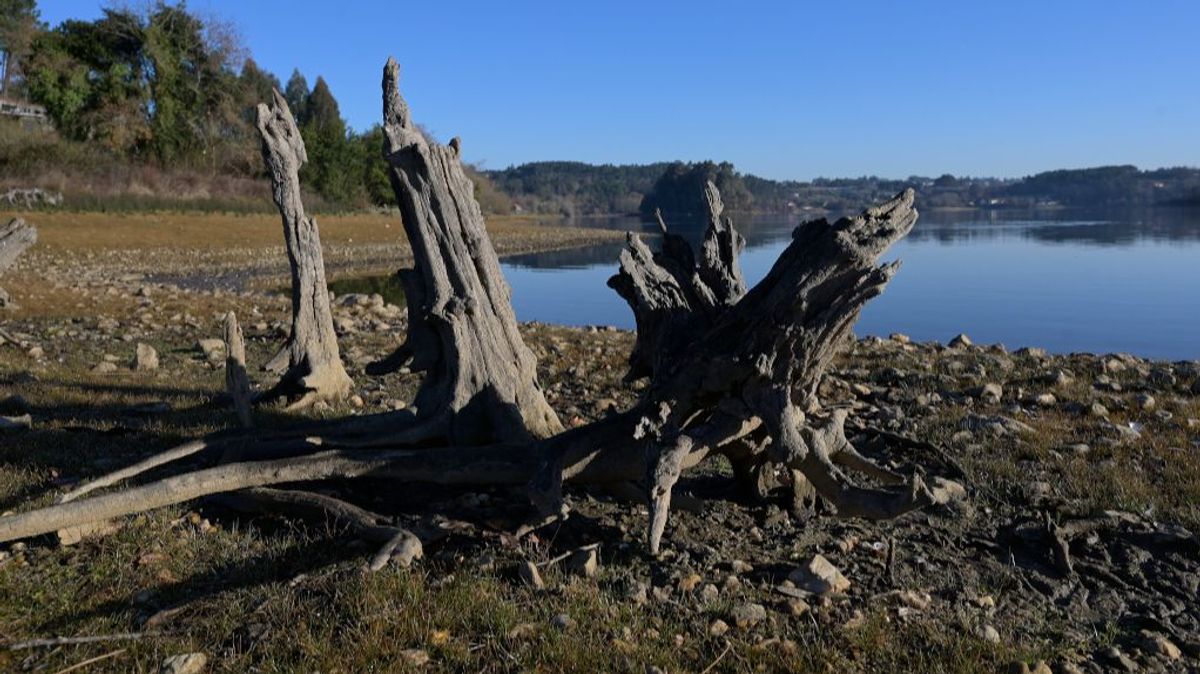 A Coruña
Embalse de Cecebre
09/02/2022
Foto: M. Dylan / Europa Press A Coruña
Embalse de Cecebre
09/02/2022
Foto: M. Dylan / Europa Press