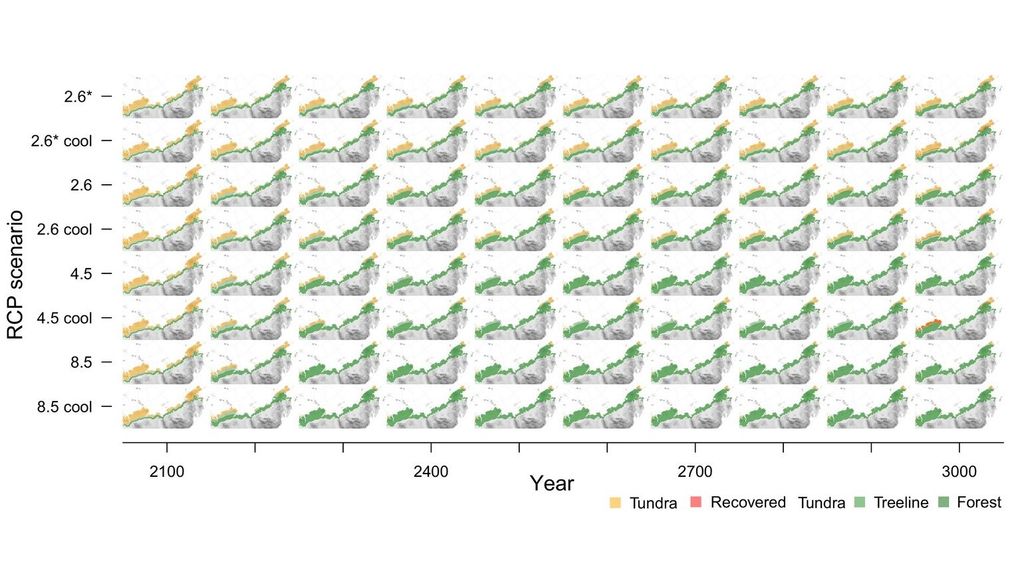 Expansión forestal para pasos de tiempo de 100 años y todos los escenarios