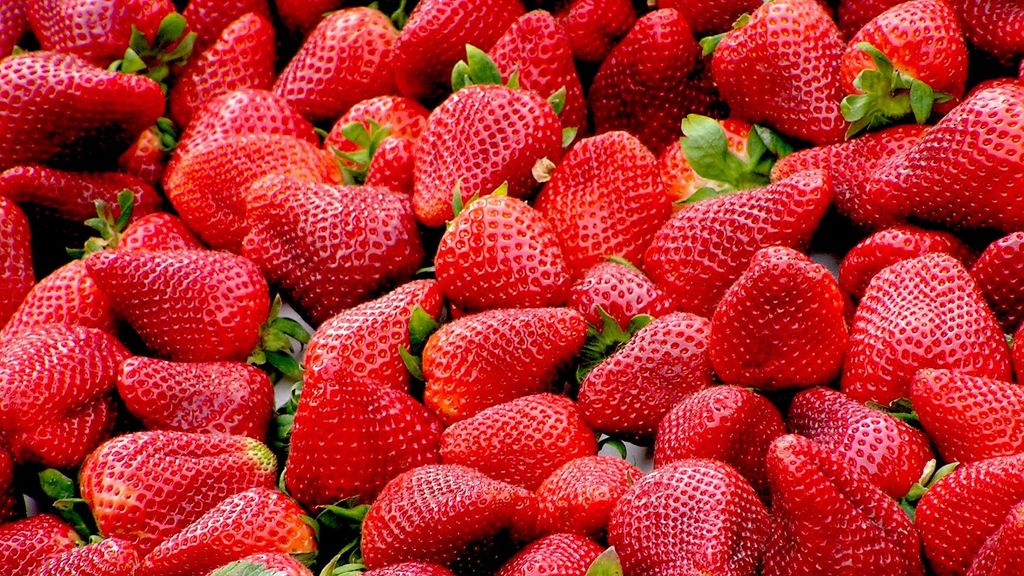 Por qué nunca debes cortar el tallo de las fresas antes de lavarlas