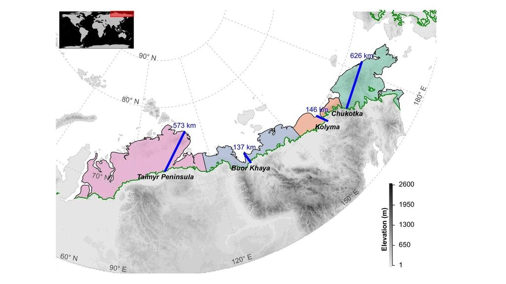 El cinturón de tundra se reducirá a la península de Taimyr al oeste y la península de Chukotka al este