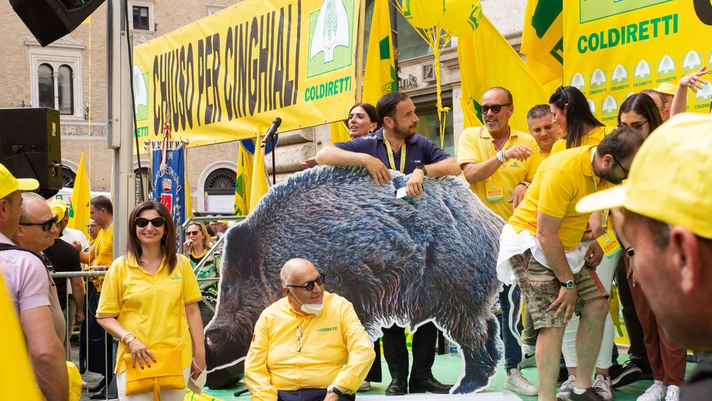 Protestas por el avance de la peste porcina africana en Italia.
