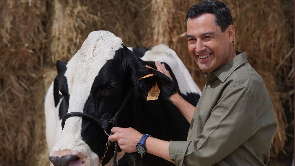 "Fady", la vaca talismán de Juan Manuel Moreno Bonilla