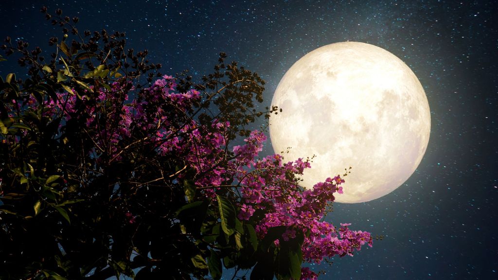 ¿Cuándo habrá luna llena en junio 2022?