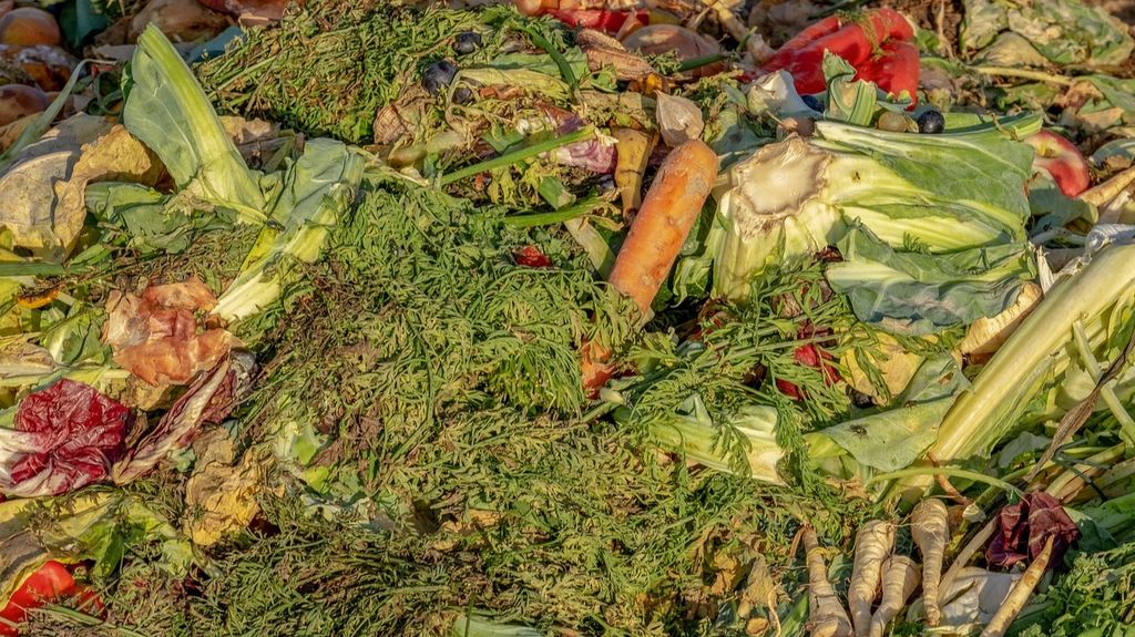 El compost orgánico servirá para revitalizar la plantas de tu jardín.