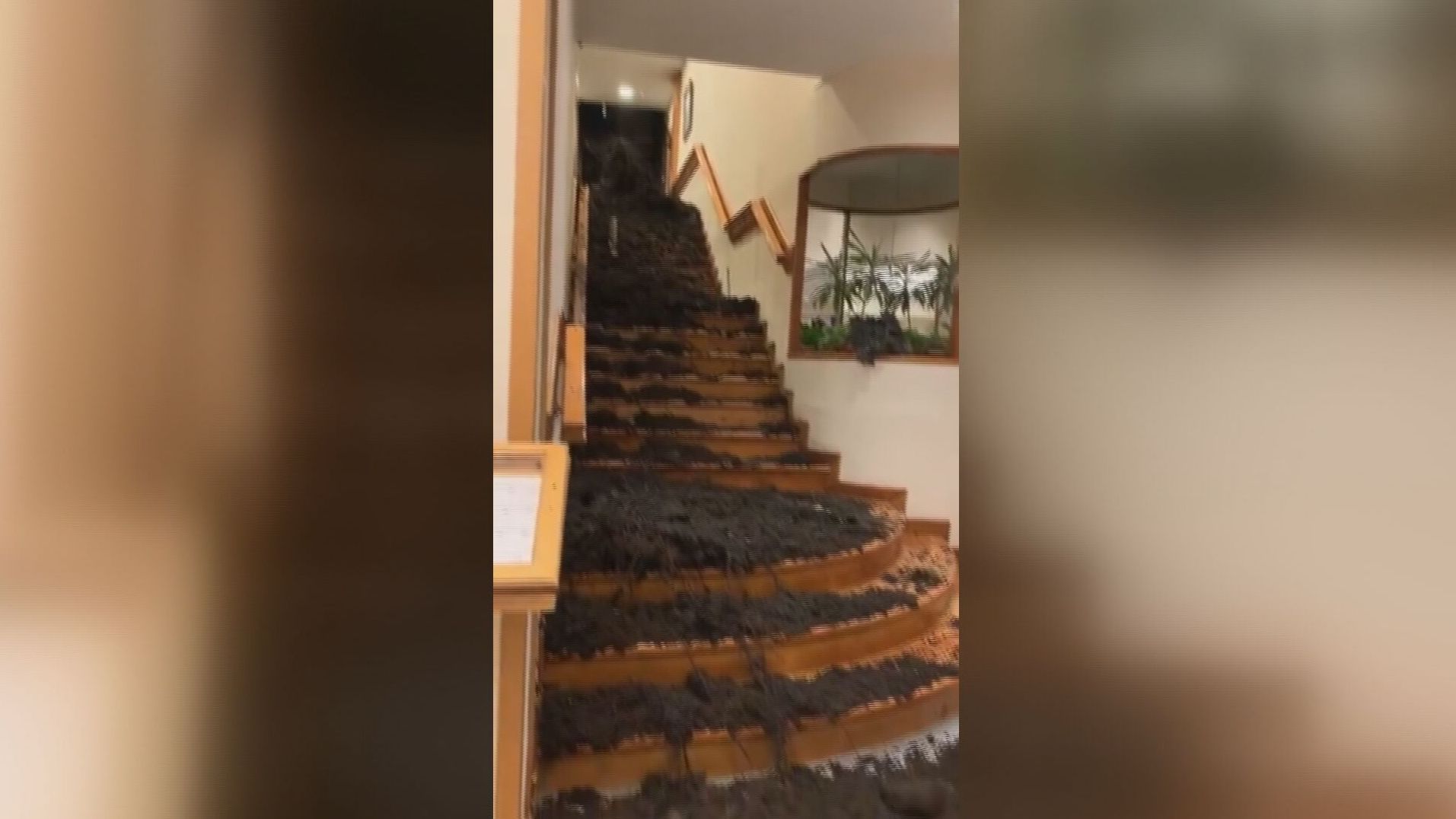 Horror en un hotel de Argentina por un alud de rocas, agua y lodo