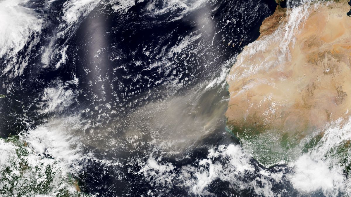 Una inmensa nube de polvo sahariano invade las Canarias y llega hasta el Caribe