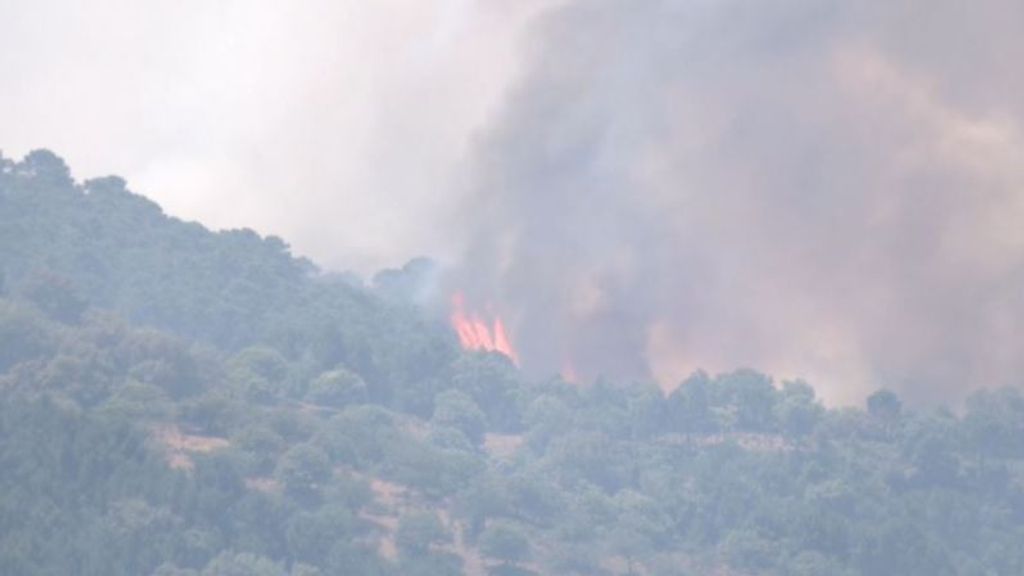 El flanco norte del incendio en Sierra Bermeja, Málaga, es el que más preocupa