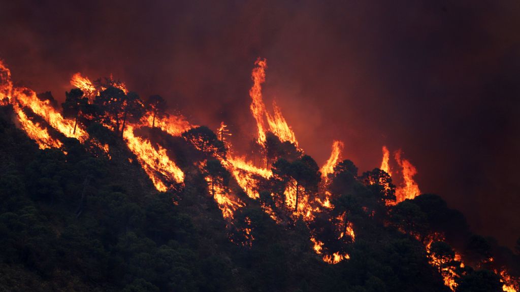 El viento, clave para controlar el incendio de Sierra Bermeja en Málaga