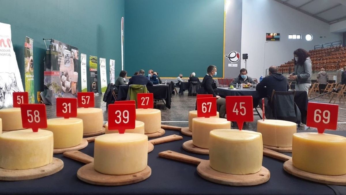 Concurso de Queso Idiazabal, Ordizia. Concurso de Queso Idiazabal, Ordizia.
