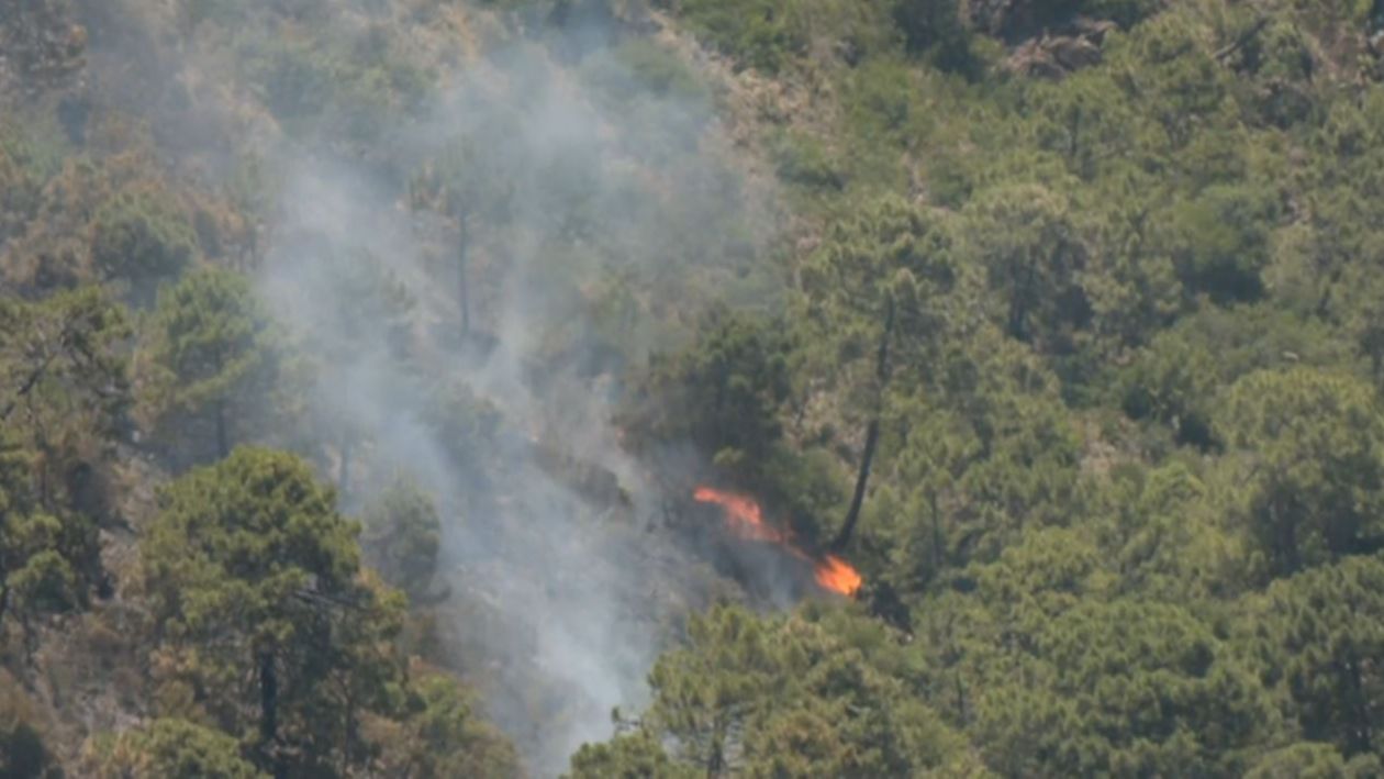 Estabilizado el incendio forestal en Pujerra, en Málaga: ha afectado a 3.500 hectáreas