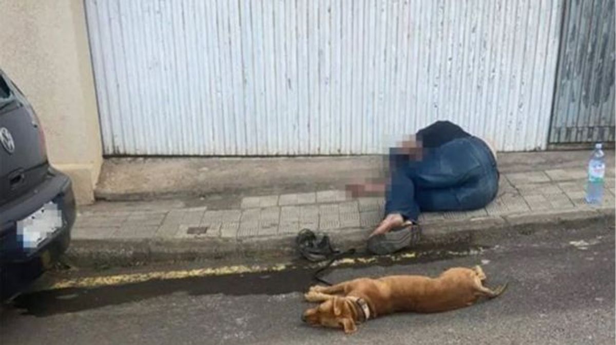 Denuncian el maltrato a un perro, "con pulgas" y tirado en una calle de Tenerife