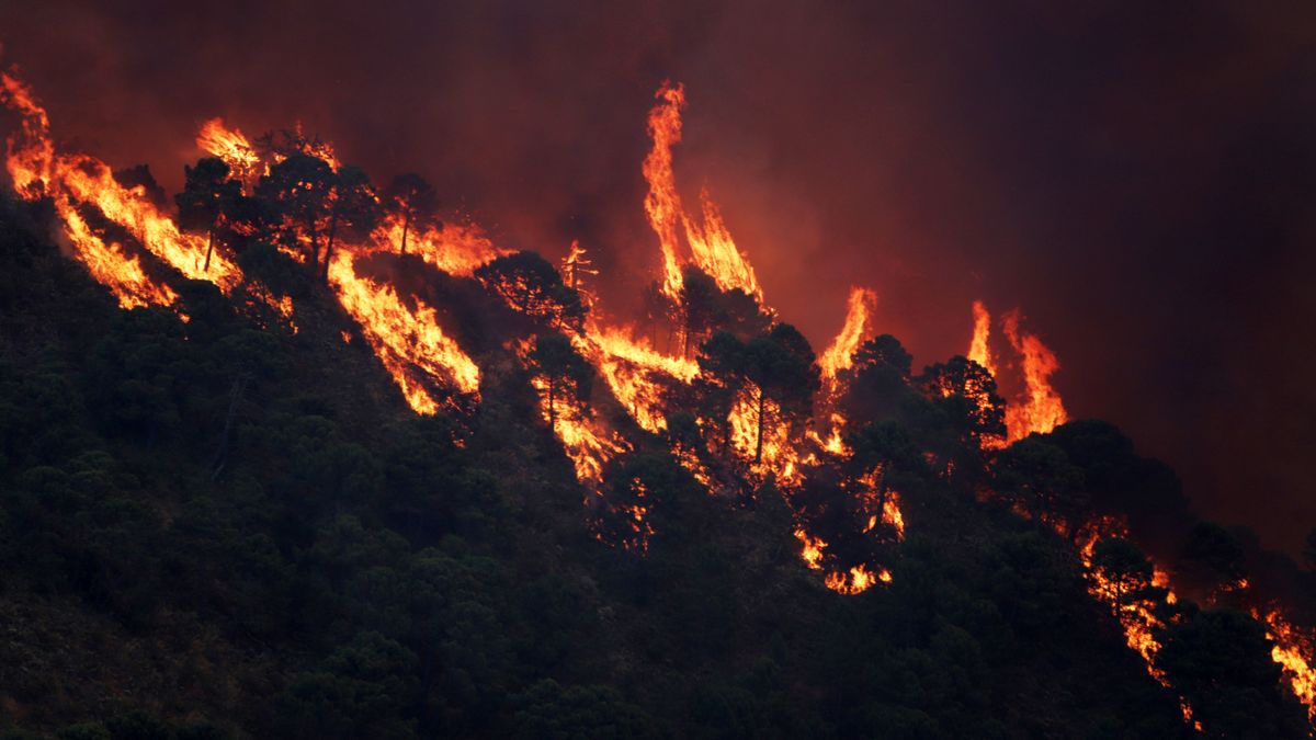 EuropaPress 4510825 incendio forestal pujerra 09 junio 2022 pujerra malaga andalucia espana