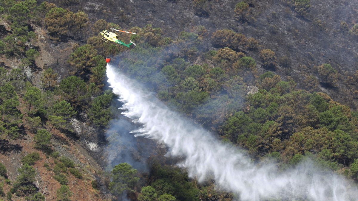 Técnicos del Infoca realizan tareas de extinción durante la jornada de hoy en el incendio de Pujerra, donde ha sido controlado y ha pasado al nivel cero a 10 de junio de 2022 en Málaga, Andalucía. Técnicos del Infoca realizan tareas de extinción durante la jornada de hoy en el incendio de Pujerra, donde ha sido controlado y ha pasado al nivel cero a 10 de junio de 2022 en Málaga, Andalucía.