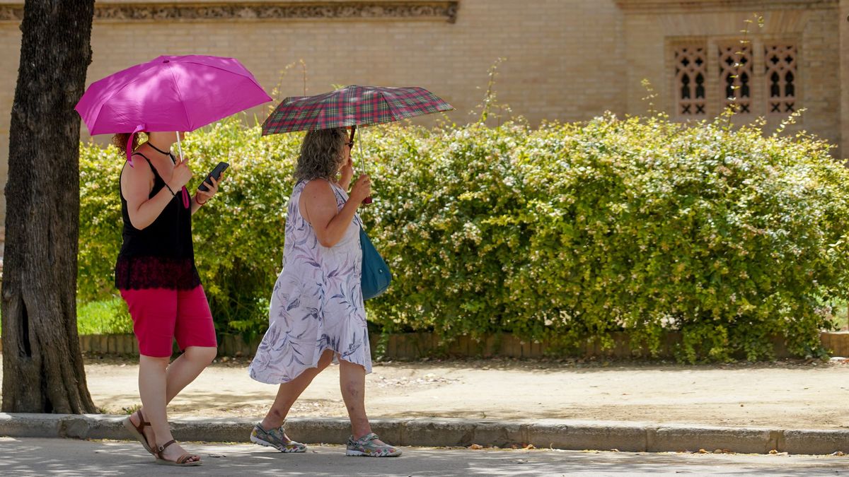 EuropaPress 4518165 dos mujeres paraguas pasean parque maria luisa primera ola calor