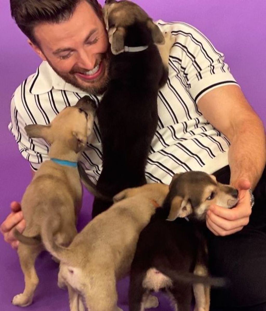 Chris Evans es un enamorado de los perros
