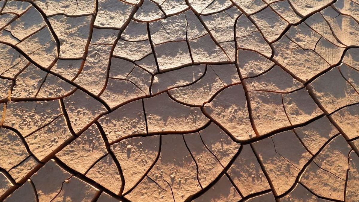 La relación entre la crisis climática y la violencia de género La relación entre la crisis climática y la violencia de género