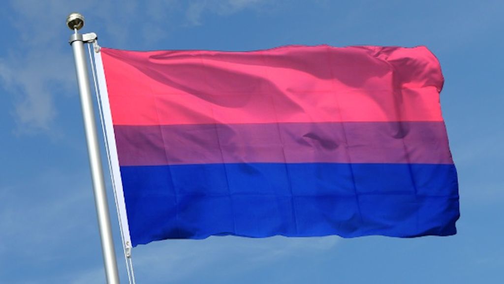 Otra de las banderas que más se utiliza es la que representa al colectivo bisexual.