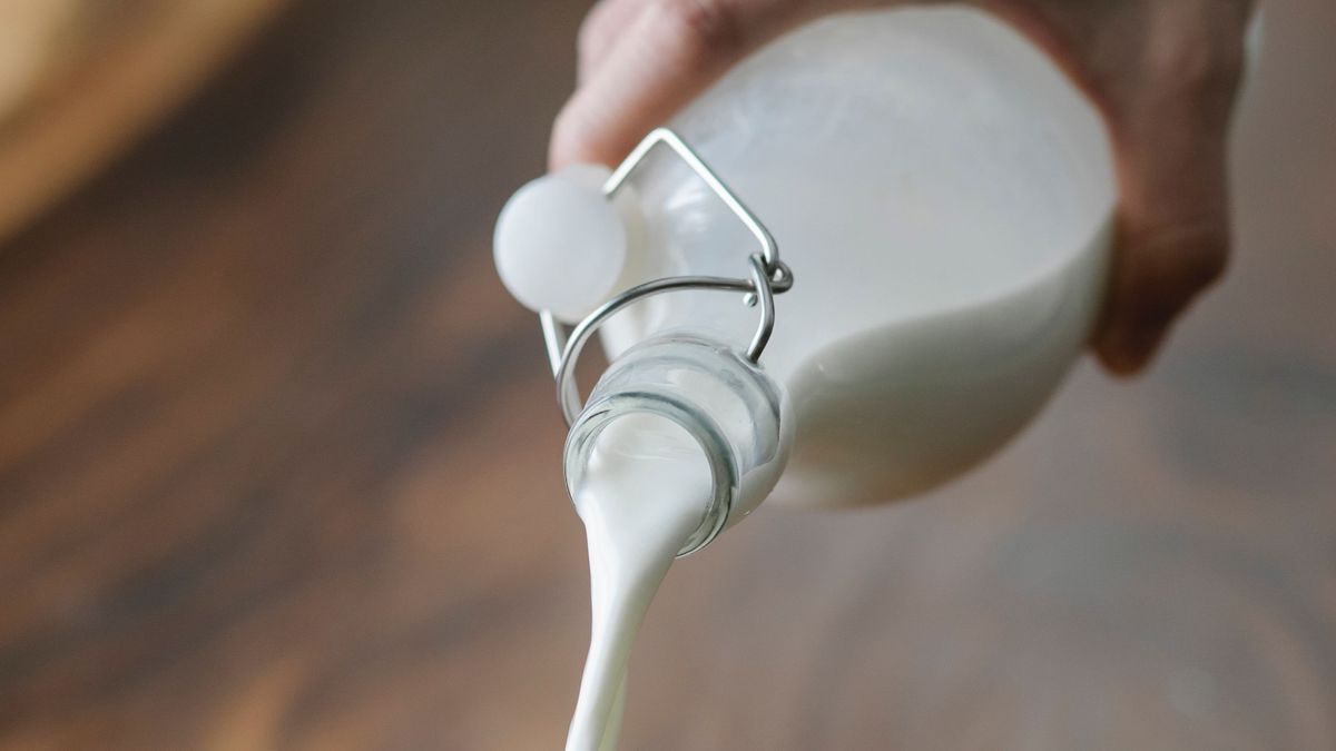 Leche Leche