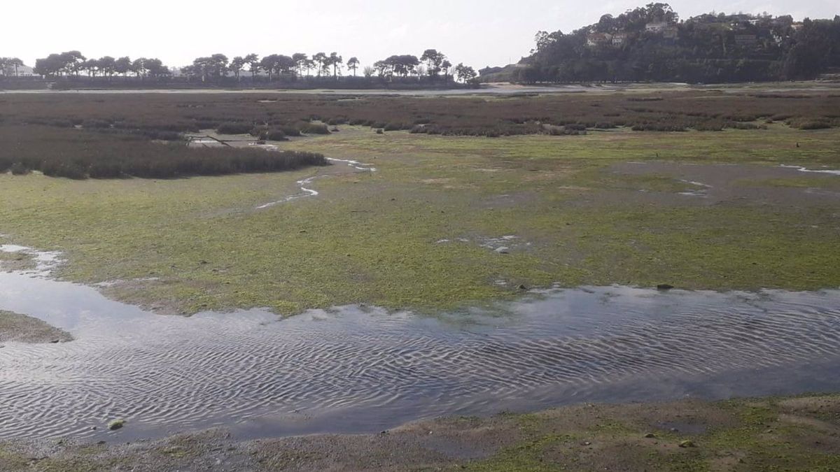 Los seis espacios y playas gallegas con bandera negra por contaminación y mala gestión ecológica