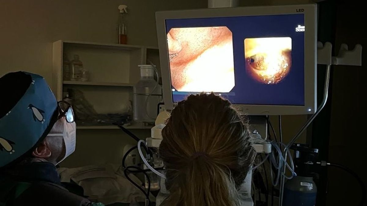20220615 san endoscopia ep 20220615 san endoscopia ep