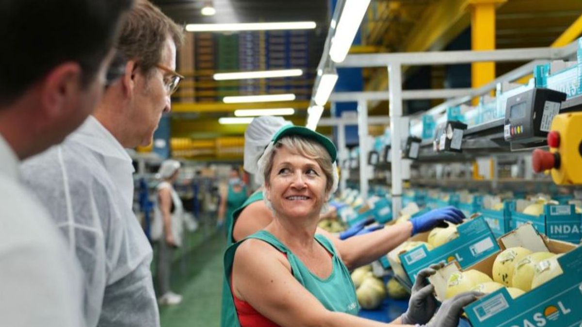 El presidente del PP, Alberto Núñez Feijóo, en su visita a la empresa Indasol de El Ejido (Almería) El presidente del PP, Alberto Núñez Feijóo, en su visita a la empresa Indasol de El Ejido (Almería)
