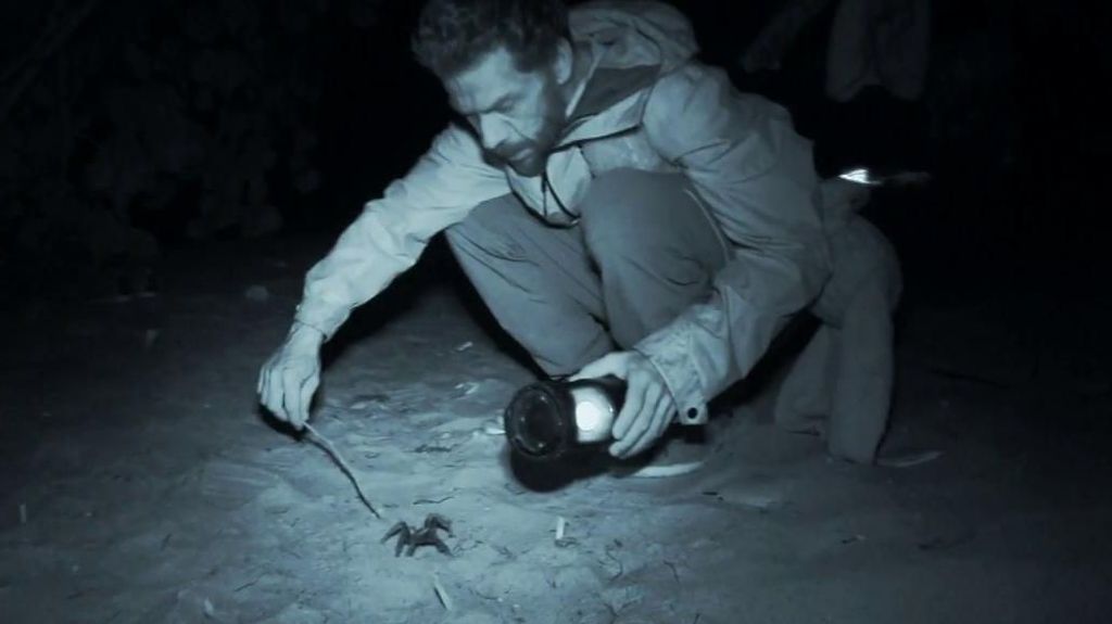 Nacho Palau caza la tarántula