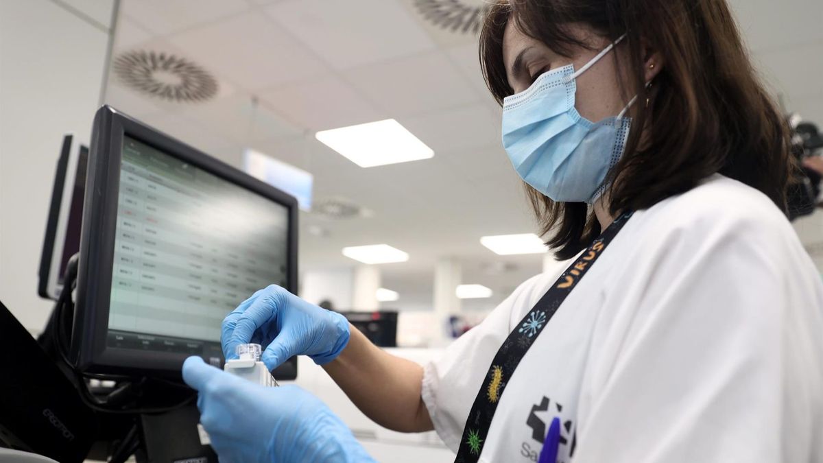 Sanidad confirma el cuarto caso positivo de viruela del mono en la Comunidad Valenciana Sanidad confirma el cuarto caso positivo de viruela del mono en la Comunidad Valenciana