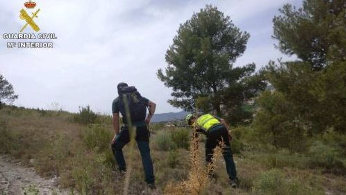 Búsqueda senderista Búsqueda senderista