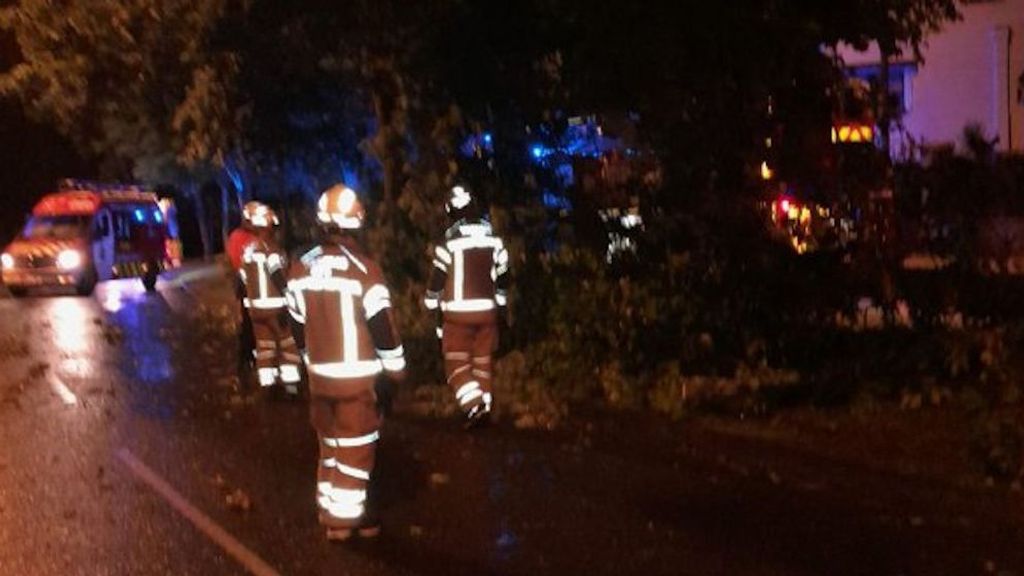 Efectivos retirando árboles en Lugo.