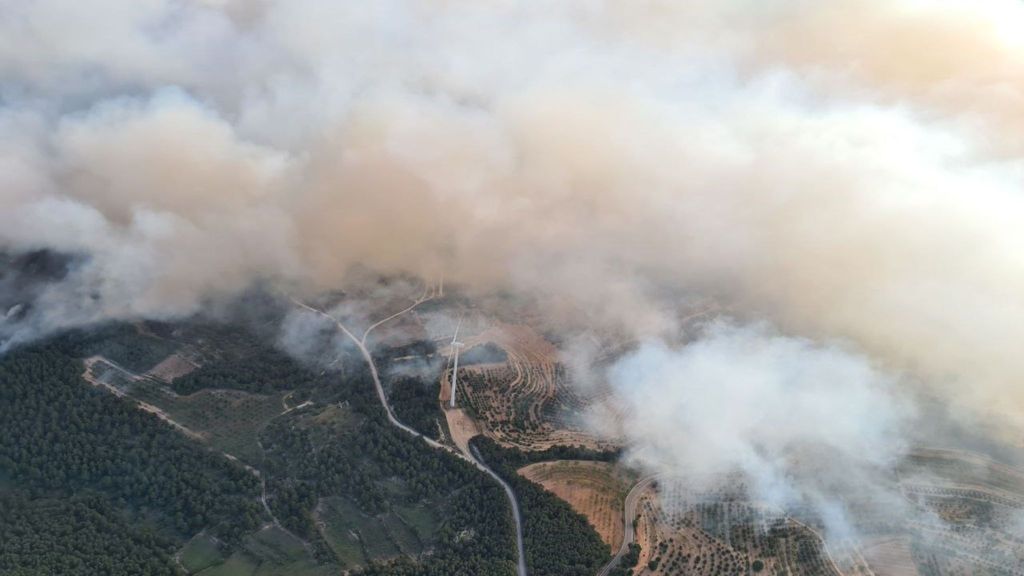 Imágenes aéreas del incendio forestal de Corbera d'Ebre