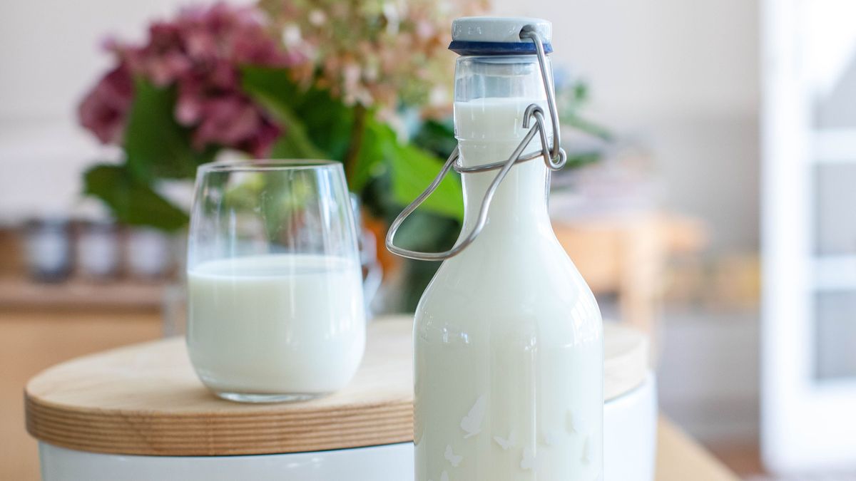 La leche entera se asocia a un mayor deterioro cognitivo