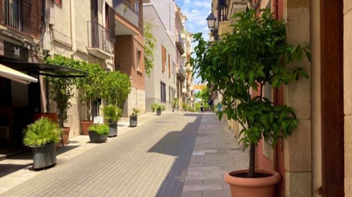 La polémica multa de Ada Colau a una vecina de Barcelona por poner una planta en su casa