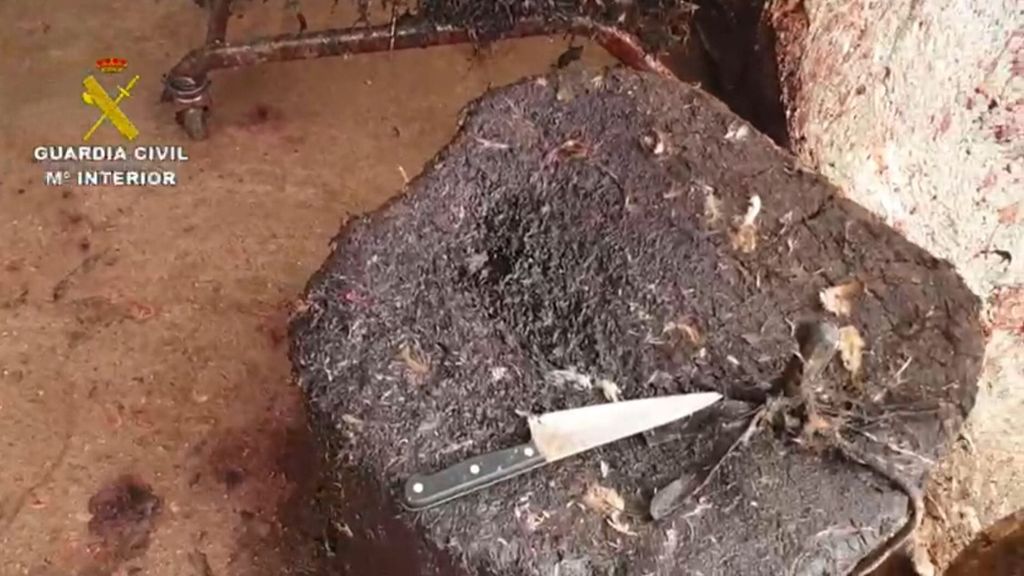 Clausuran un matadero ilegal en Madrid que vendía carne sin control en locales asiáticos