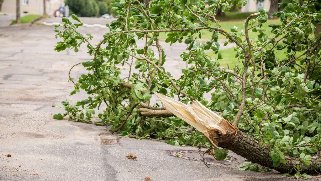 Una tormenta en Salamanca provoca inundaciones y la caída de cientos de árboles