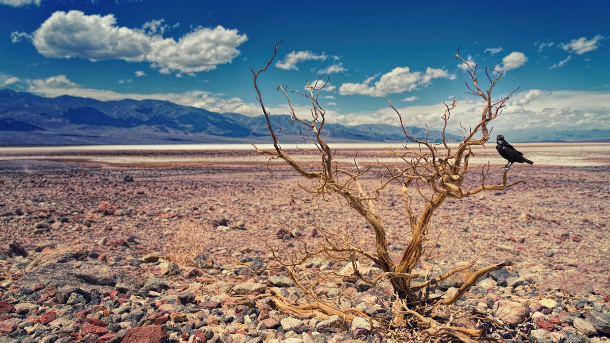 El 75% de España está en riesgo de sufrir desertificación