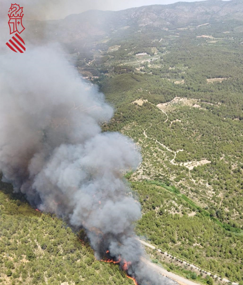 Incendio Viver