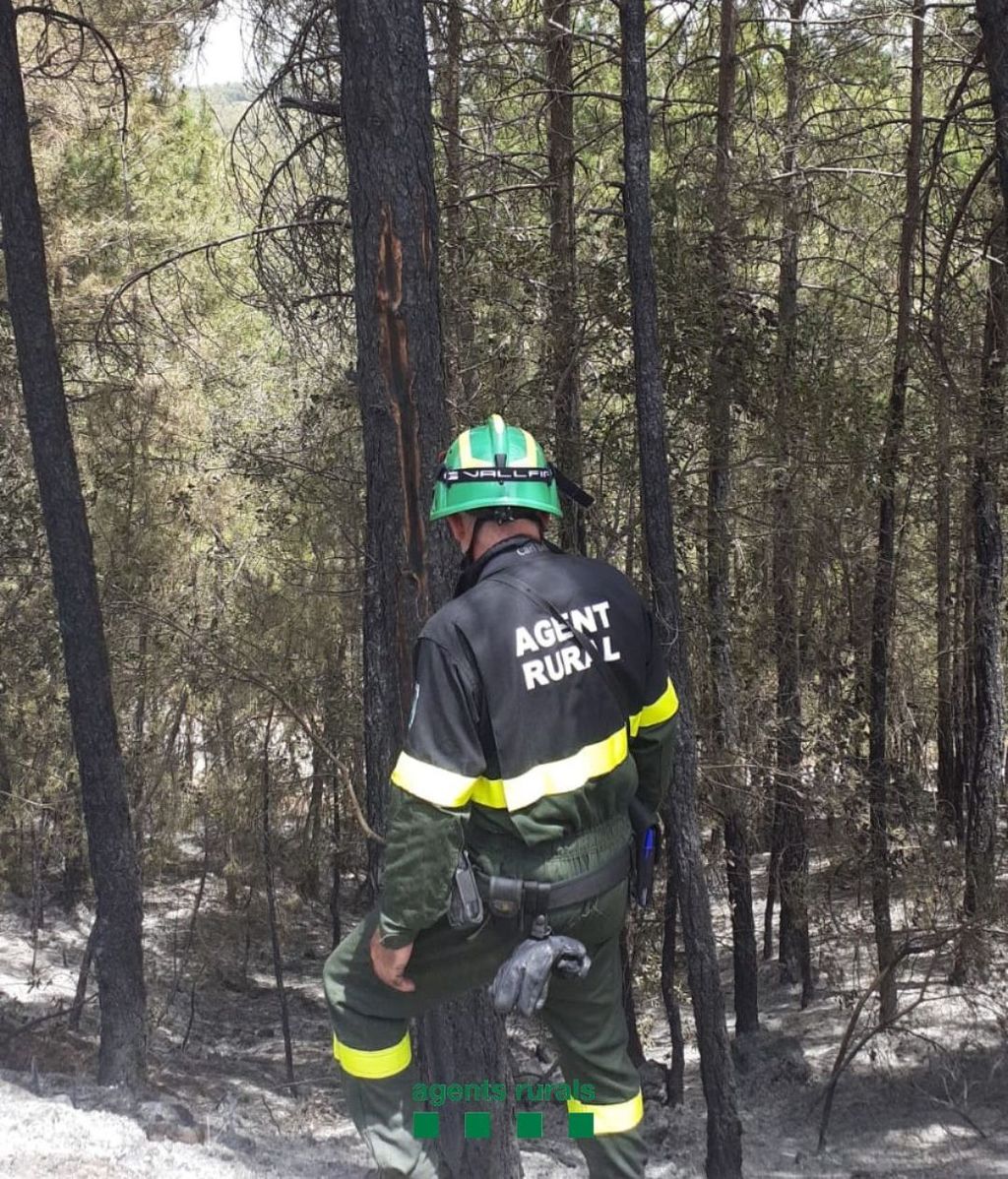 Los Agentes Rurales buscan las causas del incendio
