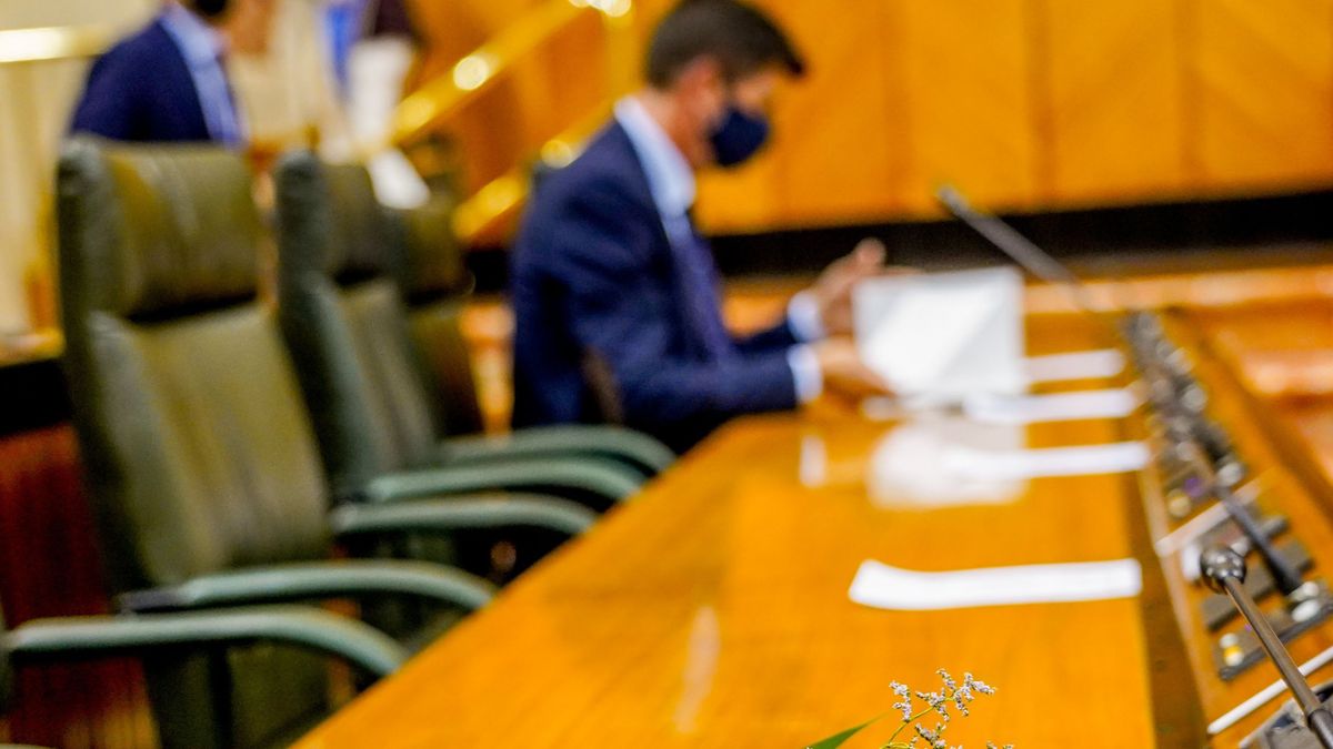 Parlamento Andalucía. Parlamento Andalucía.