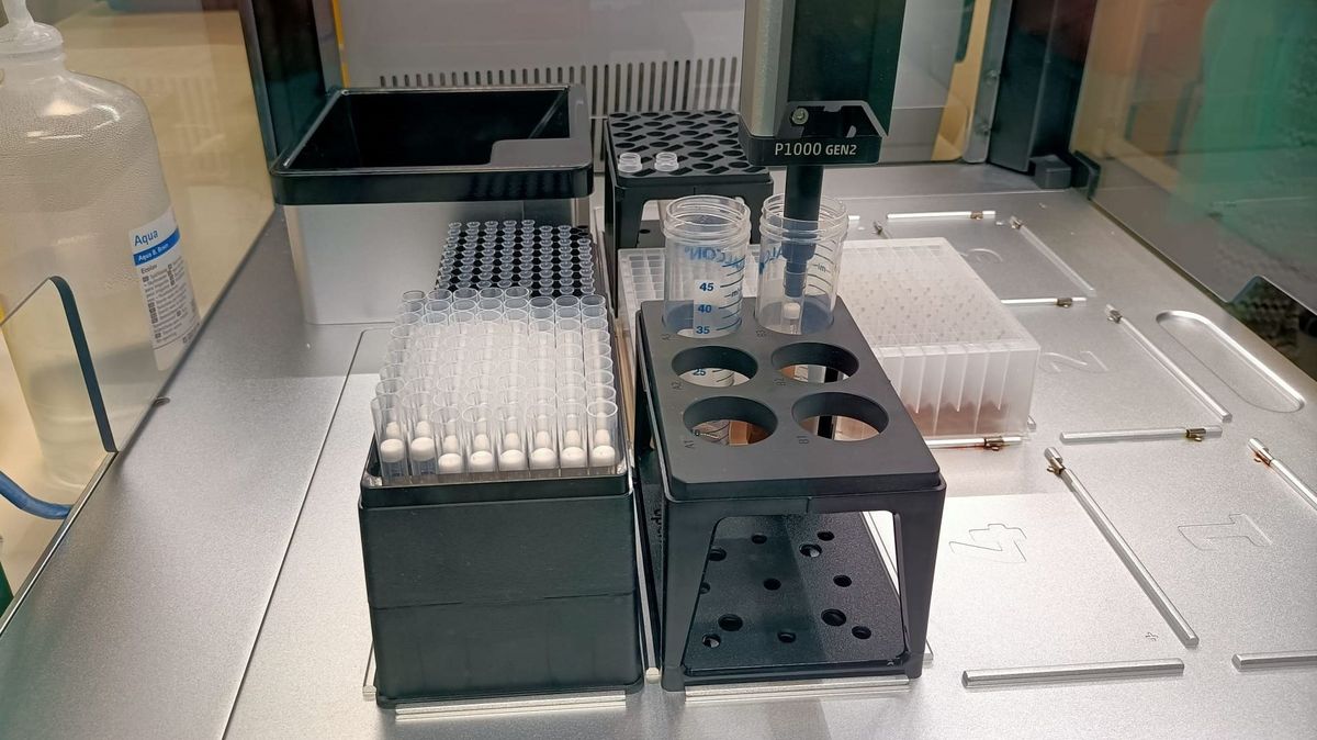 Viruela del mono, pruebas de laboratorio Viruela del mono, pruebas de laboratorio