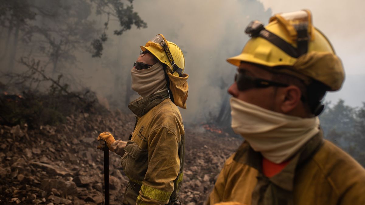 Bomberos trabajan en la extinción del incendio en la Sierra Culebra , a 16 de junio de 2022, en Zamora, Castilla y León, (España) Bomberos trabajan en la extinción del incendio en la Sierra Culebra , a 16 de junio de 2022, en Zamora, Castilla y León, (España)