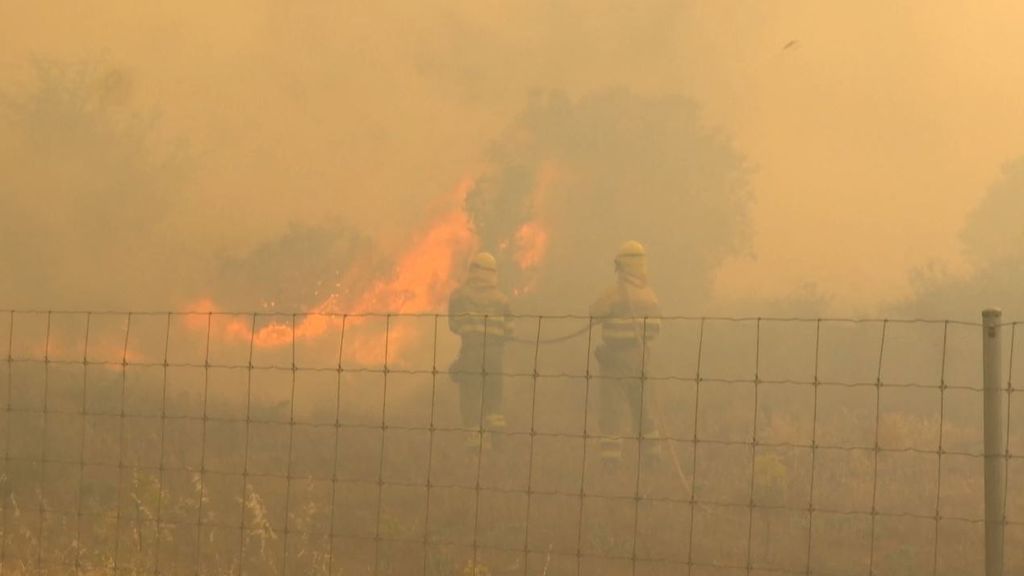 El fuego en Sierra de la Culebra, Zamora, sigue activo: quema ya 20.000 hectáreas