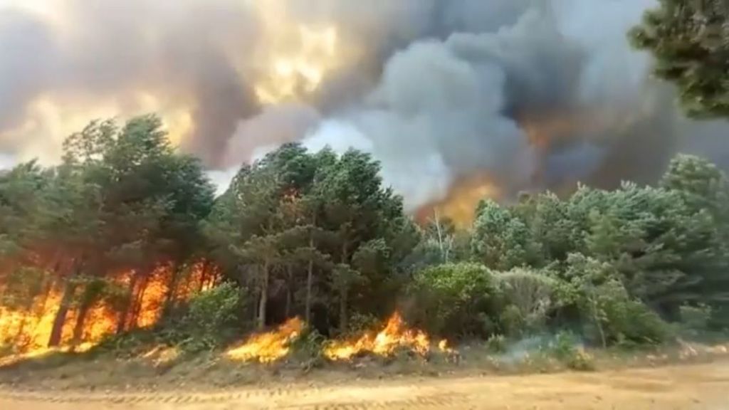 El incendio de Zamora calcina 20.000 hectáreas, suspende el AVE y corta la N-631