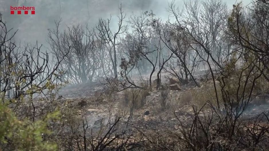 El incendio de Artesa de Segre, sin control: ya ha calcinado 2 700 hectáreas