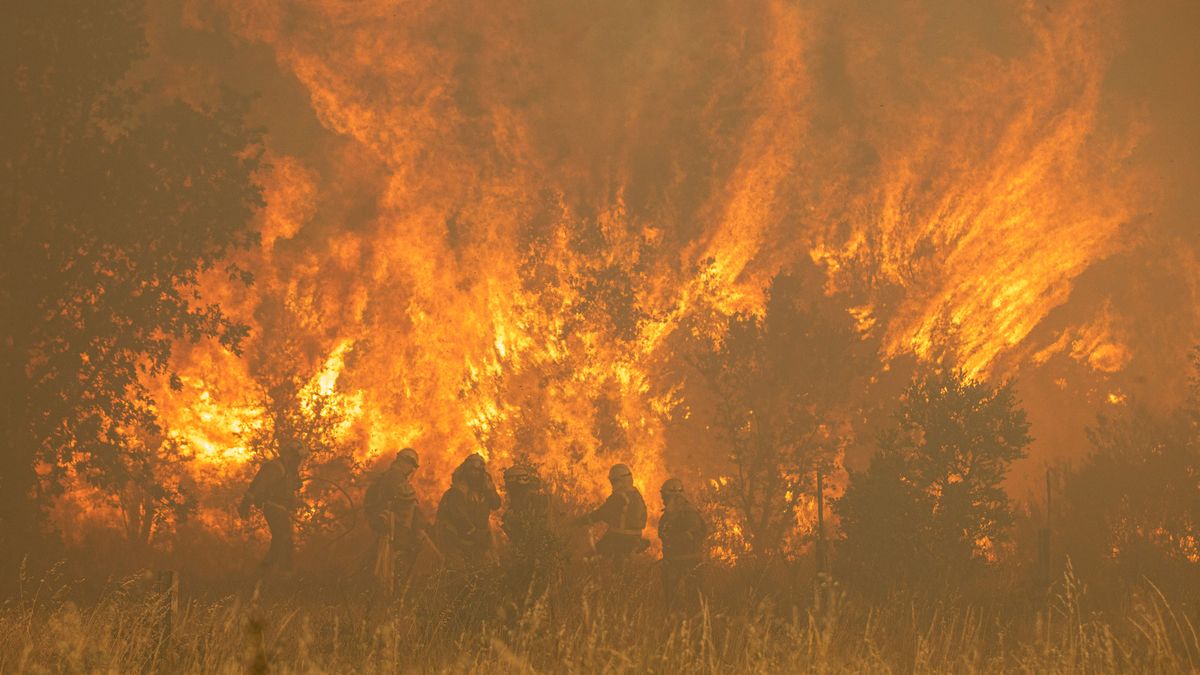 EuropaPress 4528182 efectivos bomberos incendio sierra culebra 18 junio 2022 zamora castilla EuropaPress 4528182 efectivos bomberos incendio sierra culebra 18 junio 2022 zamora castilla